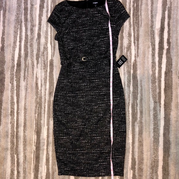 NWT! GORGEOUS Professional Dress from Express - Picture 10 of 10